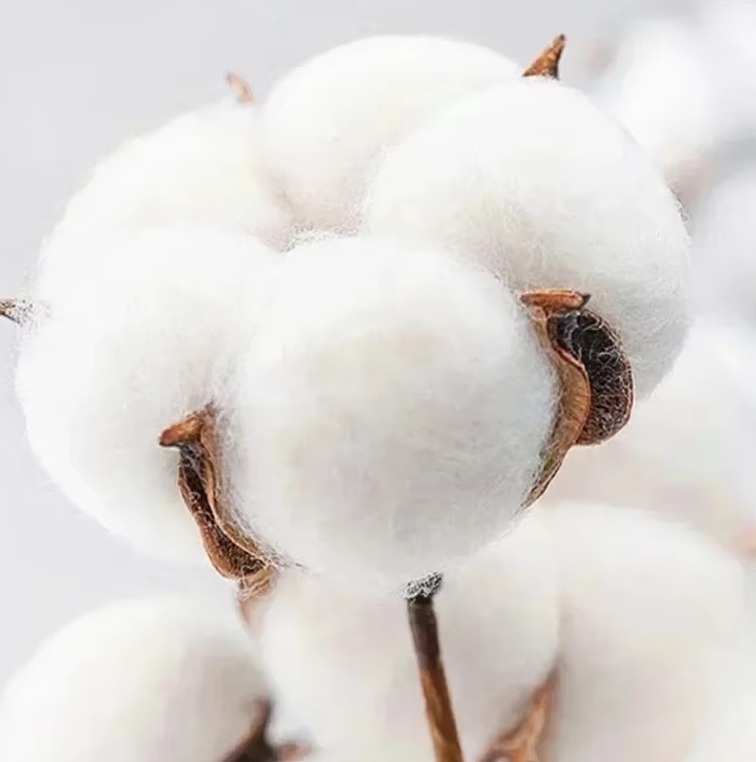 2025 Klasik Yüksek Kaliteli Er - Quality Winter Clothing Brand incelemesi ve fiyatı